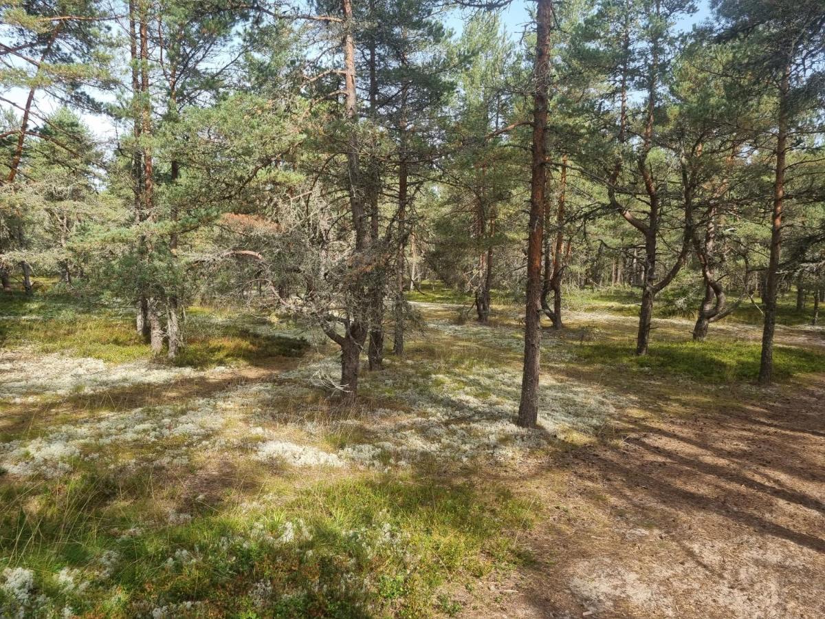 Norwegian Saunahouse Haapse Exterior foto